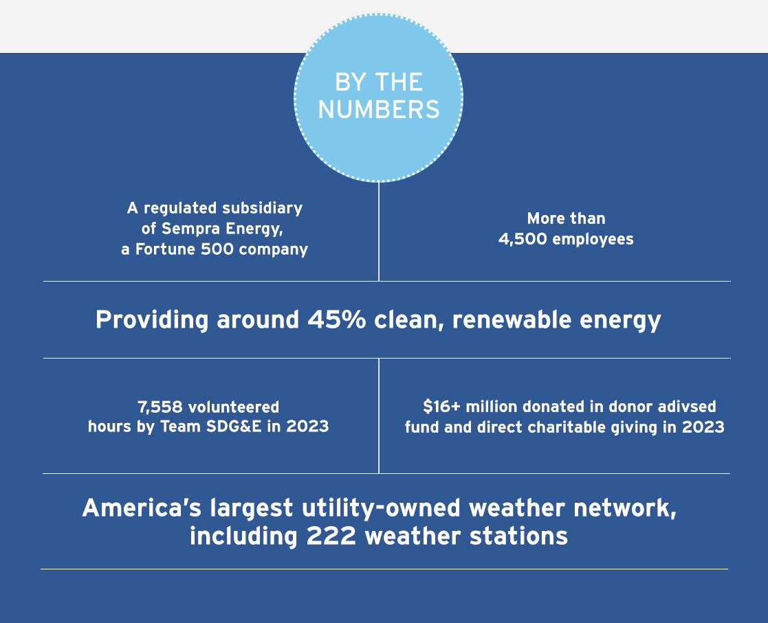 By The Numbers Infographic